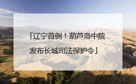 辽宁首例！葫芦岛中院发布长城司法保护令