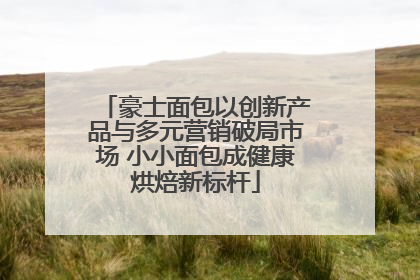 豪士面包以创新产品与多元营销破局市场 小小面包成健康烘焙新标杆