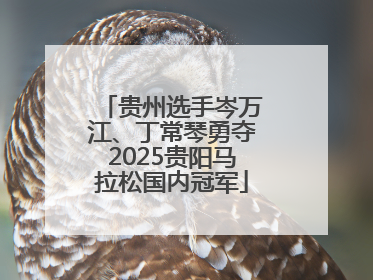 贵州选手岑万江、丁常琴勇夺2025贵阳马拉松国内冠军