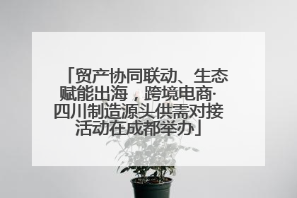 贸产协同联动、生态赋能出海，跨境电商·四川制造源头供需对接活动在成都举办