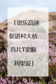 资乐高速促进村大桥首片T梁顺利架设