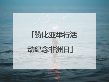 赞比亚举行活动纪念非洲日