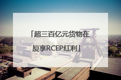 超三百亿元货物在厦享RCEP红利