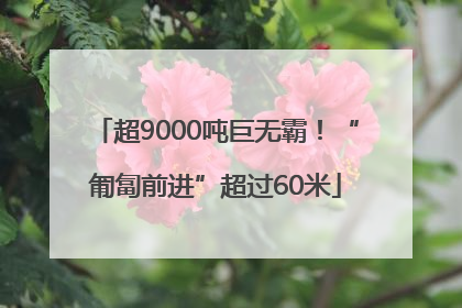 超9000吨巨无霸！“匍匐前进”超过60米