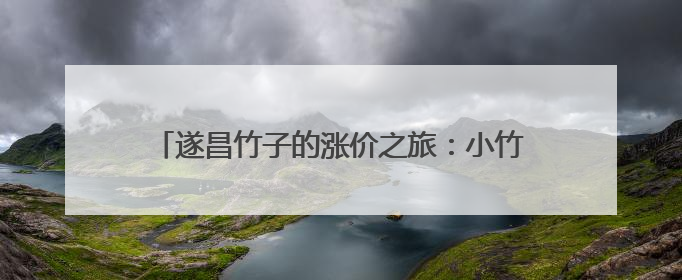 遂昌竹子的涨价之旅：小竹叶包粽子，竹产品走四方