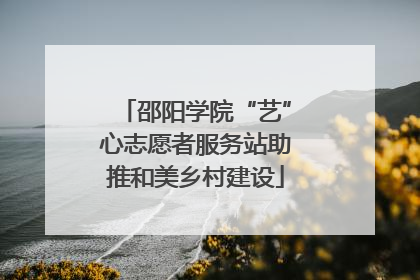 邵阳学院“艺”心志愿者服务站助推和美乡村建设