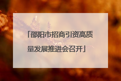 邵阳市招商引资高质量发展推进会召开