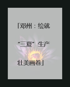 邓州：绘就“三夏”生产壮美画卷