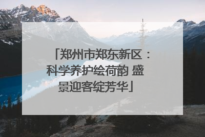 郑州市郑东新区：科学养护绘荷韵 盛景迎客绽芳华