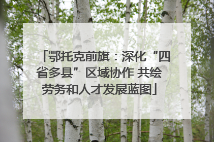 鄂托克前旗：深化“四省多县”区域协作 共绘劳务和人才发展蓝图
