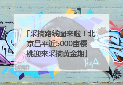 采摘路线图来啦！北京昌平近5000亩樱桃迎来采摘黄金期