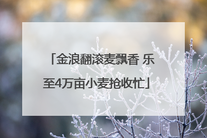 金浪翻滚麦飘香 乐至4万亩小麦抢收忙