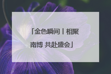 金色瞬间丨相聚南博 共赴盛会