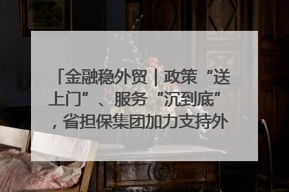 金融稳外贸｜政策“送上门”、服务“沉到底”，省担保集团加力支持外经贸高质量发展