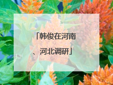 韩俊在河南、河北调研