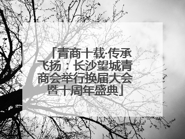 青商十载·传承飞扬：长沙望城青商会举行换届大会暨十周年盛典