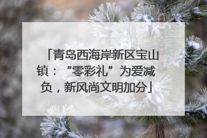青岛西海岸新区宝山镇：“零彩礼”为爱减负，新风尚文明加分