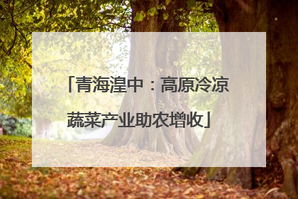 青海湟中：高原冷凉蔬菜产业助农增收