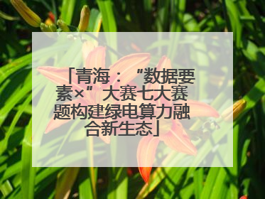 青海：“数据要素×”大赛七大赛题构建绿电算力融合新生态