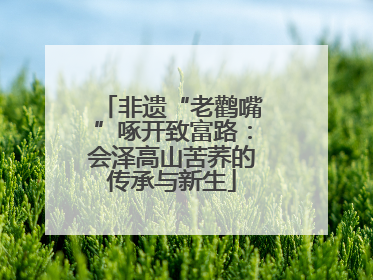非遗“老鹳嘴”啄开致富路：会泽高山苦荞的传承与新生