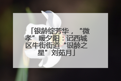 银龄绽芳华，“微孝”暖夕阳：记西城区牛街街道“银龄之星”刘茹月