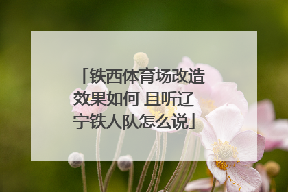 铁西体育场改造效果如何 且听辽宁铁人队怎么说