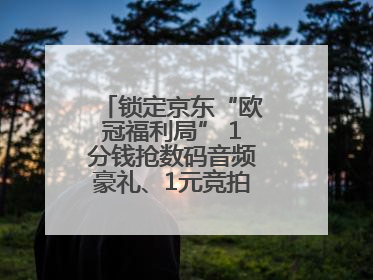 锁定京东“欧冠福利局” 1分钱抢数码音频豪礼、1元竞拍巨星亲签球衣