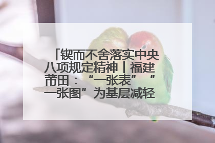 锲而不舍落实中央八项规定精神丨福建莆田：“一张表”“一张图”为基层减轻“数字负担”