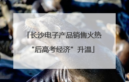 长沙电子产品销售火热 “后高考经济”升温