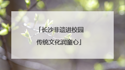 长沙非遗进校园 传统文化润童心