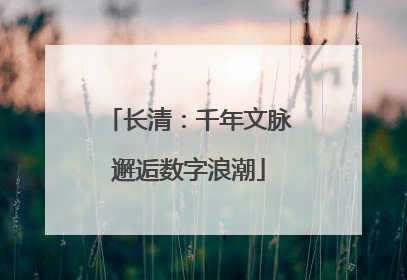 长清：千年文脉邂逅数字浪潮