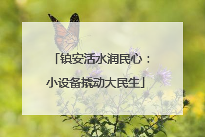 镇安活水润民心：小设备撬动大民生