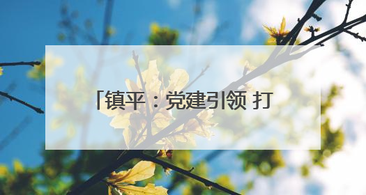 镇平：党建引领 打造居民“幸福里”