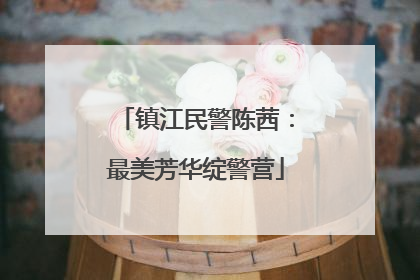 镇江民警陈茜：最美芳华绽警营