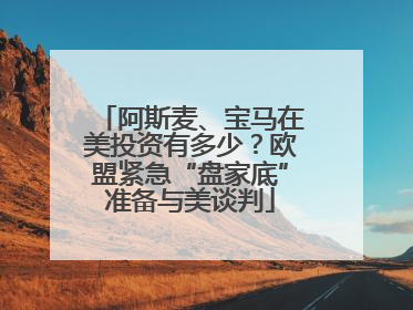 阿斯麦、宝马在美投资有多少？欧盟紧急“盘家底”准备与美谈判