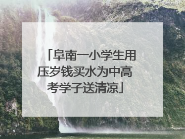 阜南一小学生用压岁钱买水为中高考学子送清凉