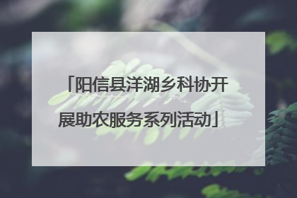 阳信县洋湖乡科协开展助农服务系列活动