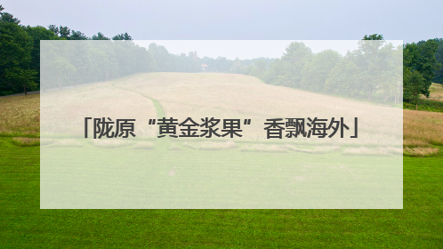 陇原“黄金浆果”香飘海外