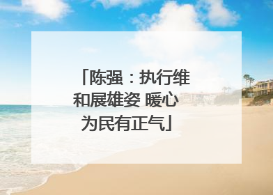 陈强：执行维和展雄姿 暖心为民有正气