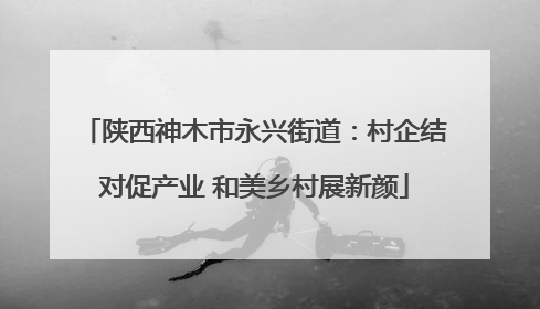 陕西神木市永兴街道：村企结对促产业 和美乡村展新颜