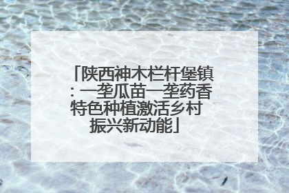 陕西神木栏杆堡镇：一垄瓜苗一垄药香 特色种植激活乡村振兴新动能