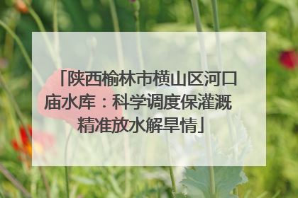 陕西榆林市横山区河口庙水库：科学调度保灌溉 精准放水解旱情