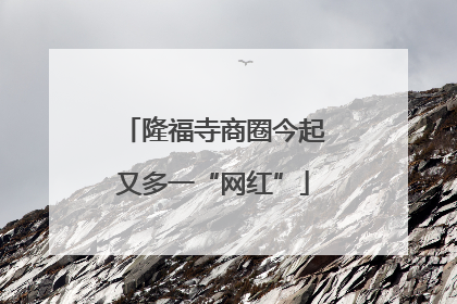 隆福寺商圈今起又多一“网红”