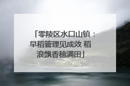 零陵区水口山镇：早稻管理见成效 稻浪飘香穗满田