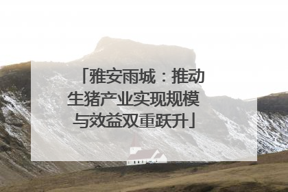 雅安雨城：推动生猪产业实现规模与效益双重跃升