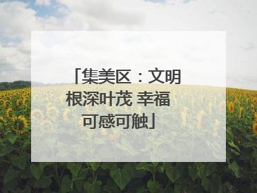 集美区：文明根深叶茂 幸福可感可触