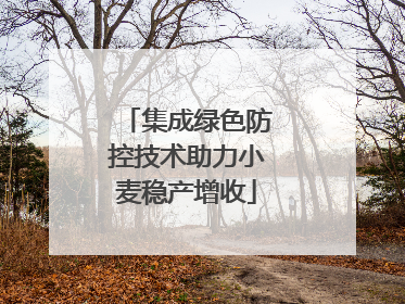 集成绿色防控技术助力小麦稳产增收
