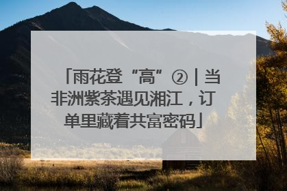 雨花登“高”②｜当非洲紫茶遇见湘江，订单里藏着共富密码