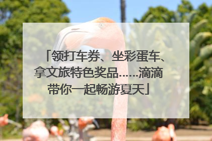 领打车券、坐彩蛋车、拿文旅特色奖品……滴滴带你一起畅游夏天