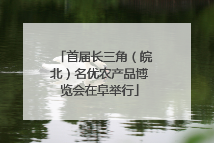 首届长三角（皖北）名优农产品博览会在阜举行